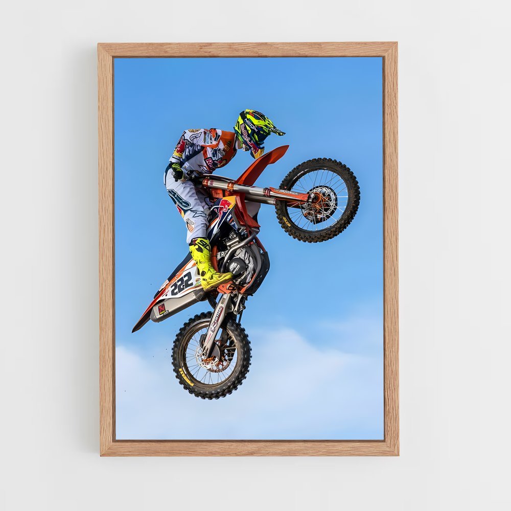 Poster Freestyle Madness – affiche Motocross freestyle (vue 4)